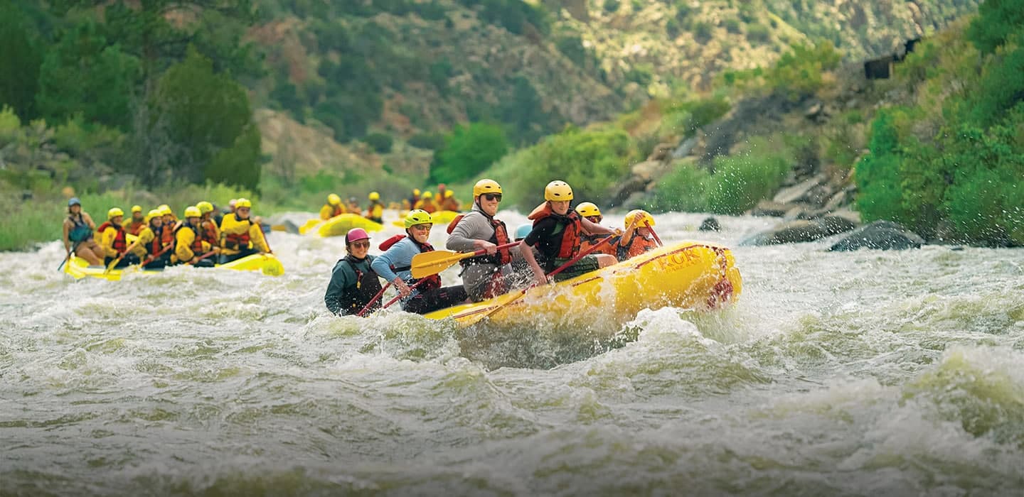 Bighorn Sheep Canyon Rafting 2